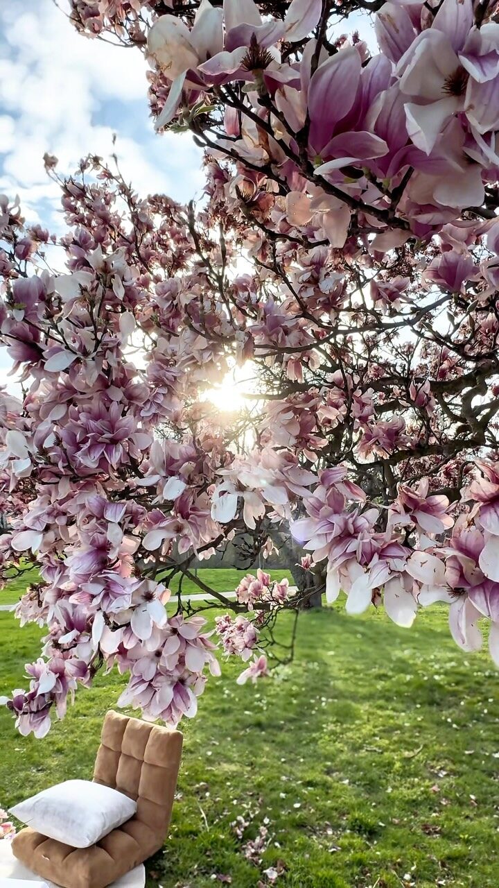 Instagram post from picnicanddate. This post is in position 3.